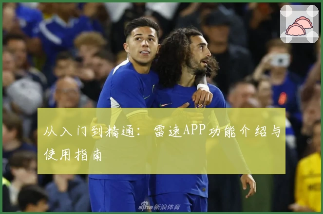 从入门到精通：雷速APP功能介绍与使用指南