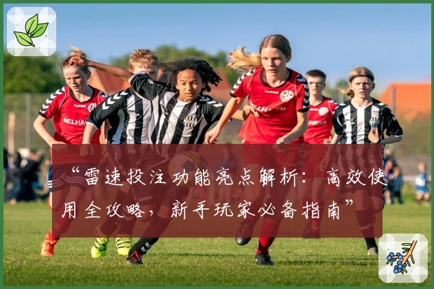 “雷速投注功能亮点解析：高效使用全攻略，新手玩家必备指南”