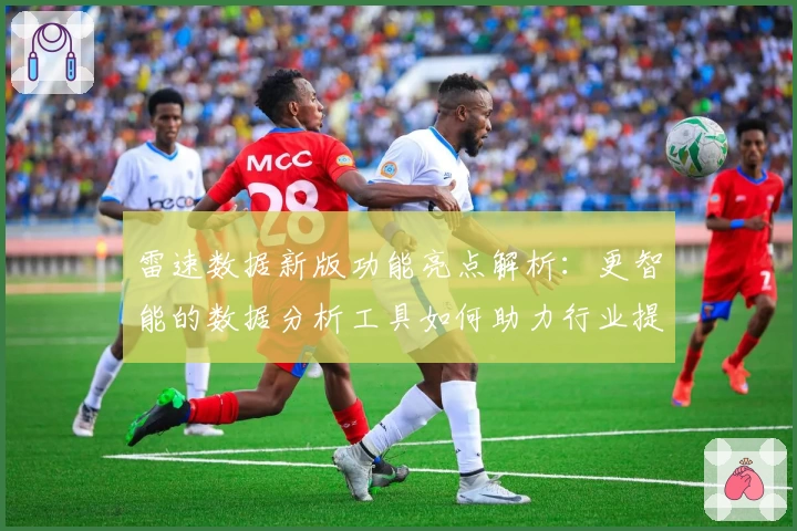 雷速数据新版功能亮点解析：更智能的数据分析工具如何助力行业提升效率